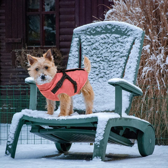 Reflective Turtleneck Dog Jacket With Harness