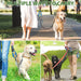 Dog Poop Bag Holder Durable Leash Attachment