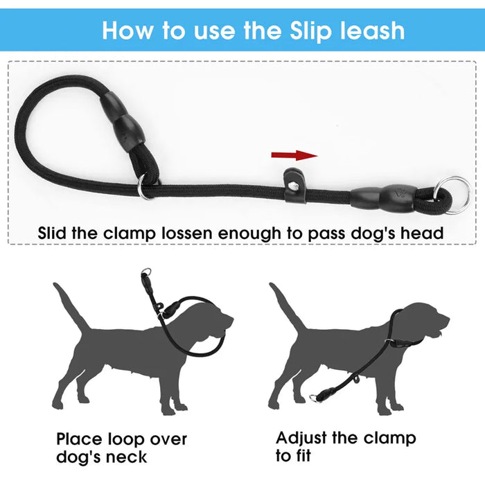 Adjustable Dog Collar Safe Sturdy No Pull Training