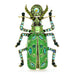 Enamel Beetle Brooch Rhinestone Insect Pin