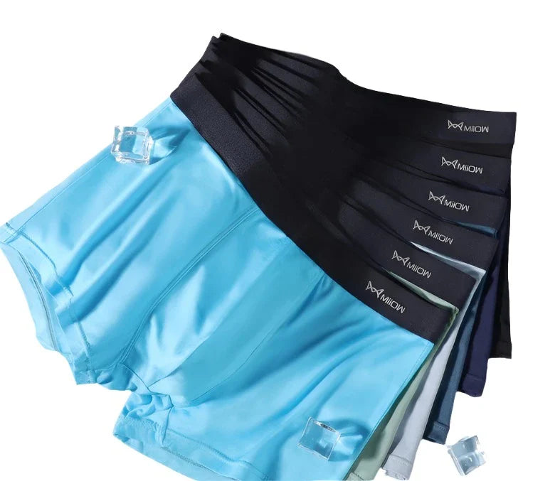 Antibacterial Mens Boxer Briefs Set