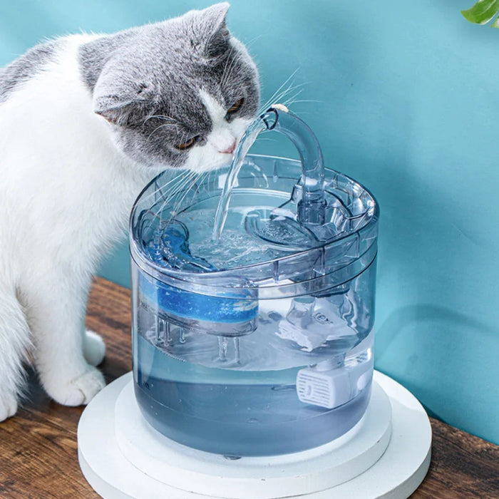 Cat Water Fountain Filters