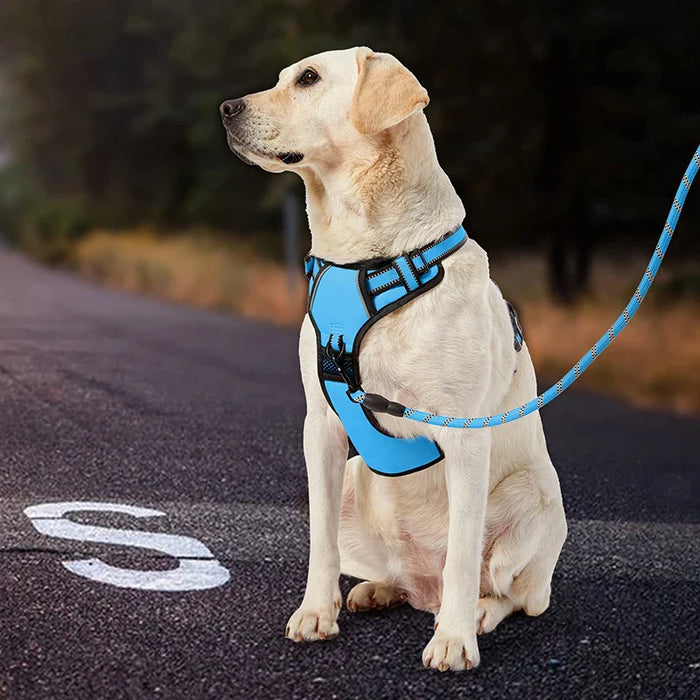 Reflective No Pull Dog Harness Com