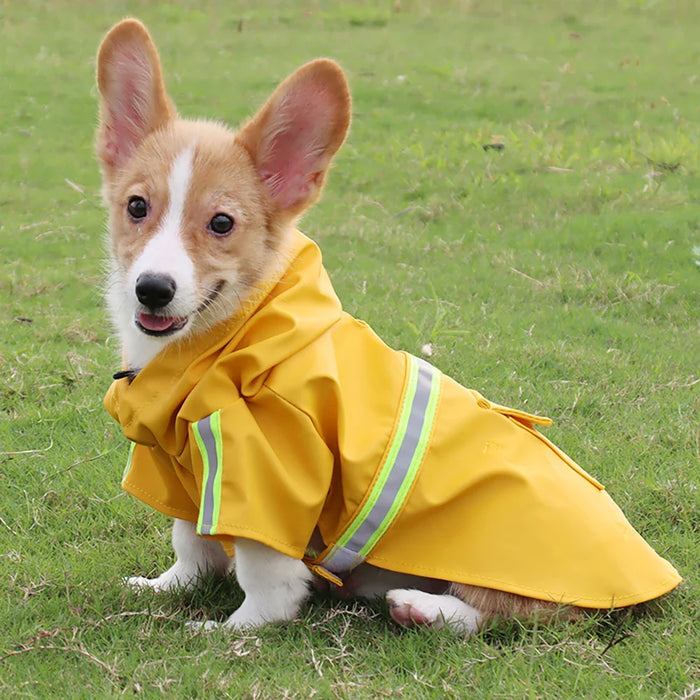 Waterproof Corgi Raincoat For Large Dogs