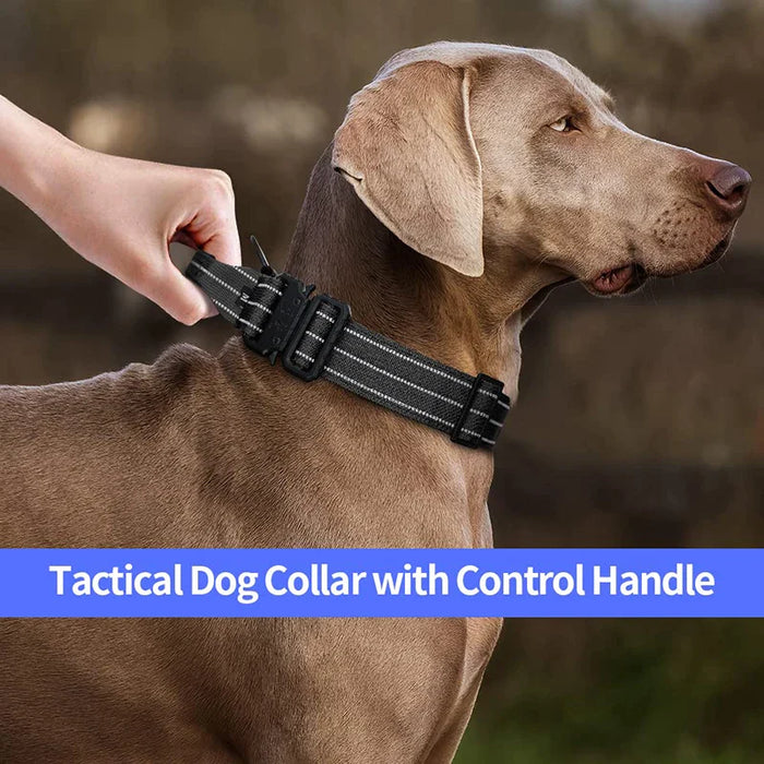 Heavy Duty Tactical Dog Collar Adjustable Military Control Handle