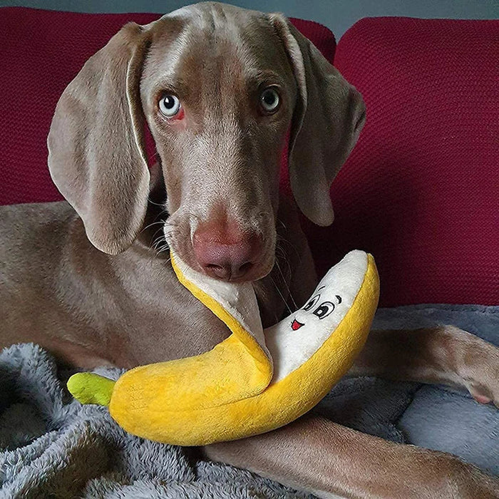 Plush Banana Dog Toy