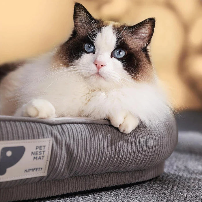 Comfy Pet Bed Anti Slip Removable Machine Washable Soft