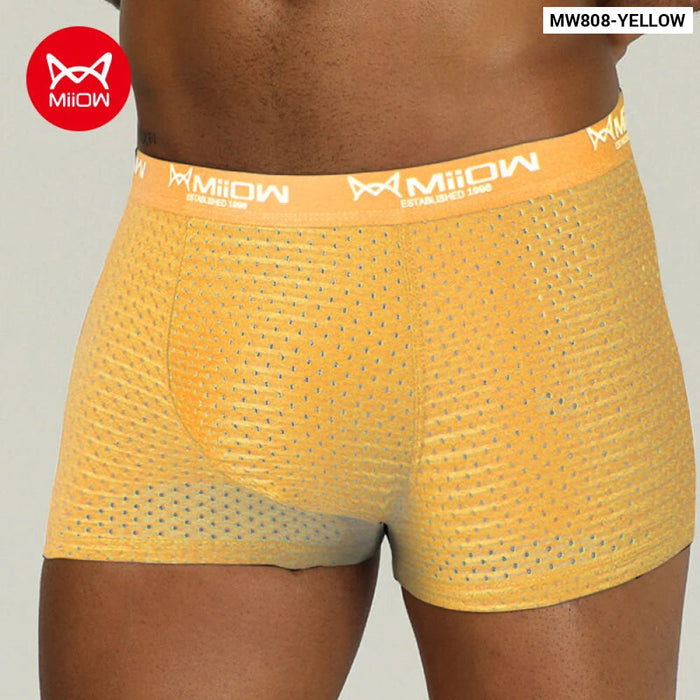 Breathable Mesh Mens Boxer Briefs