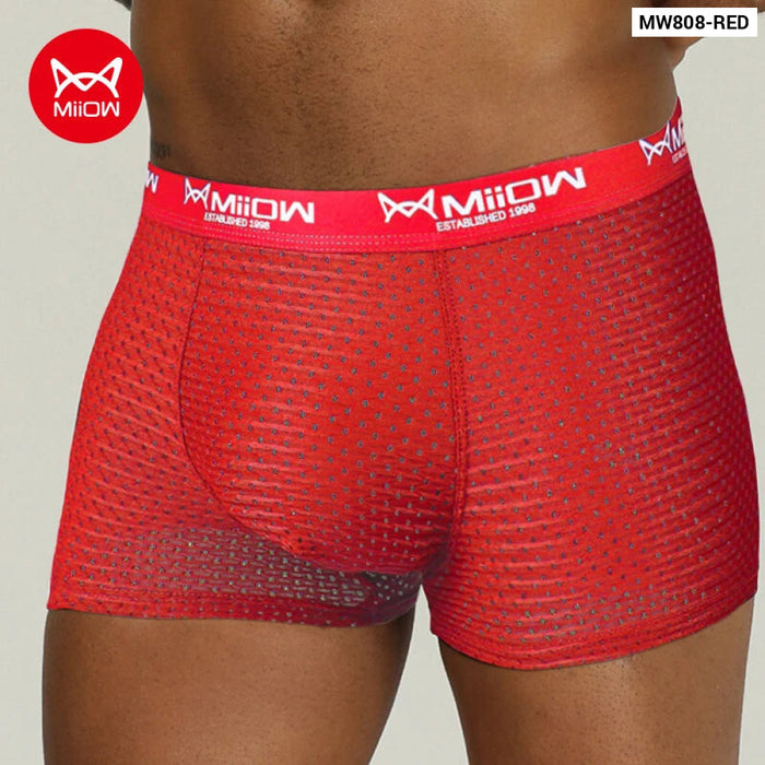 Breathable Mesh Mens Boxer Briefs