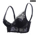 Lace Pushup Bralette For Women