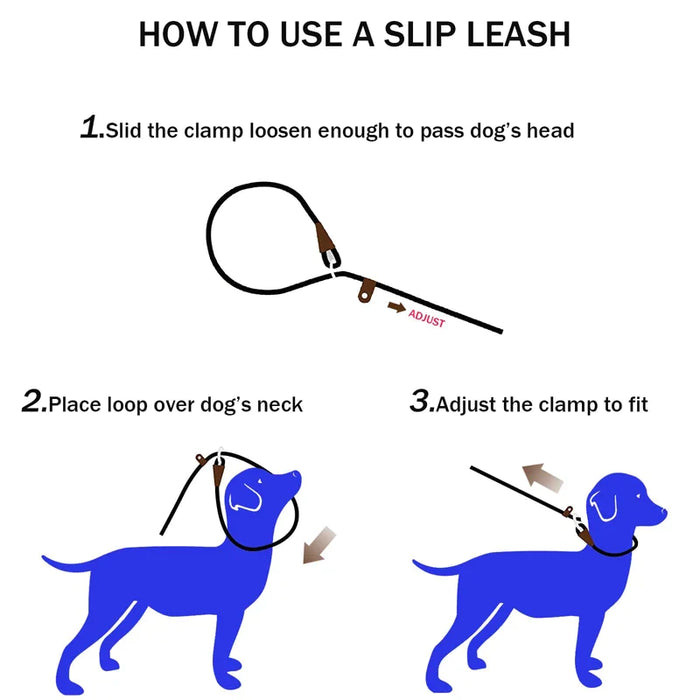 Durable Slip Dog Leash Nylon Com