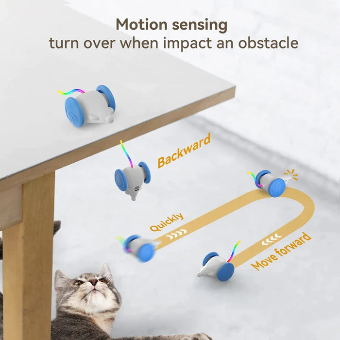 Interactive Cat Toy Usb Rechargeable With Squeaking Sound And Led Flashing Tail