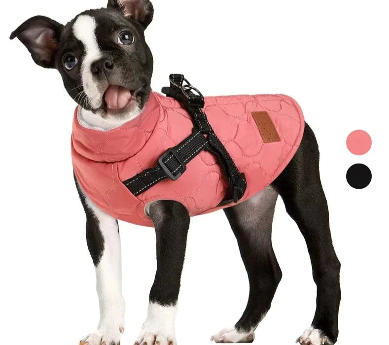 Reflective Turtleneck Dog Jacket With Harness