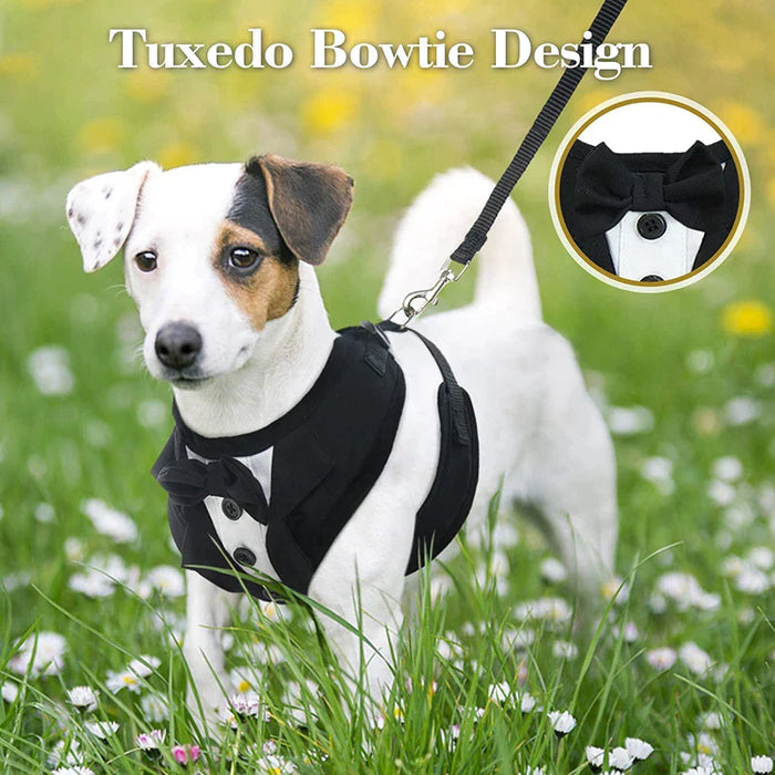 No Pull Tuxedo Dog Harness Set With Leash And Bow Tie Soft Breathable Mesh