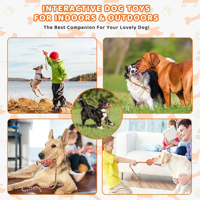 Tough Dog Toys Interactive Chew