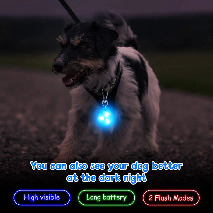 Led Dog Collar Pendant Waterproof 2 Flashing Modes Safety Night Walking Camping Hiking