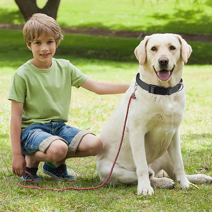 Dog Collar Adjustable Com