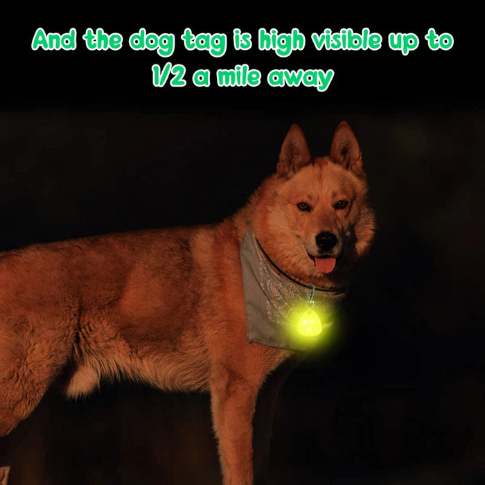 Led Dog Collar Pendant Waterproof 2 Flashing Modes Safety Night Walking Camping Hiking