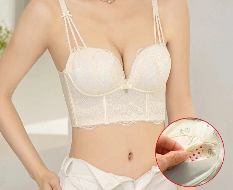 Lace Push Up Bra For Women