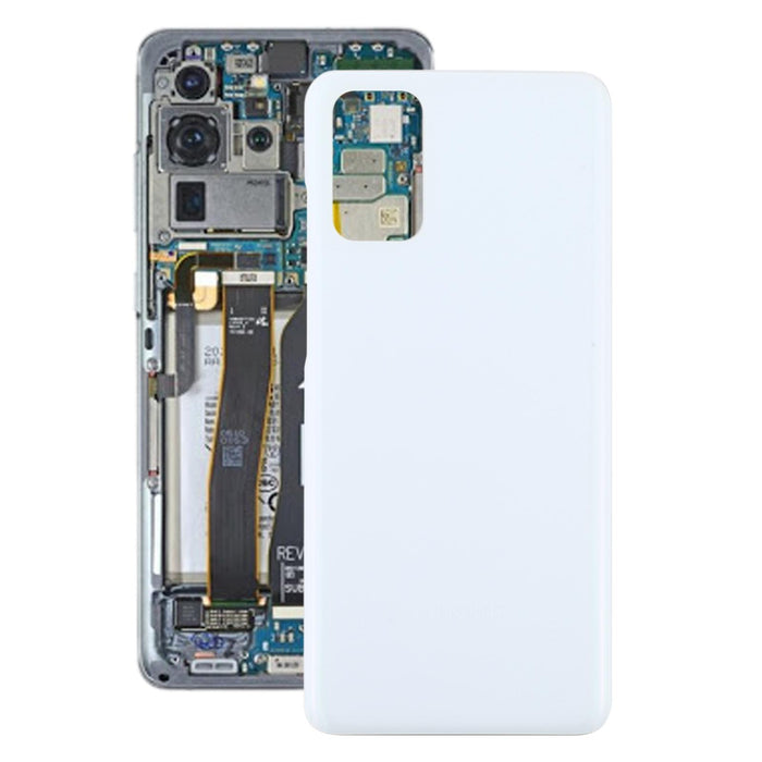 Battery Back Cover Samsung Galaxy S20 +