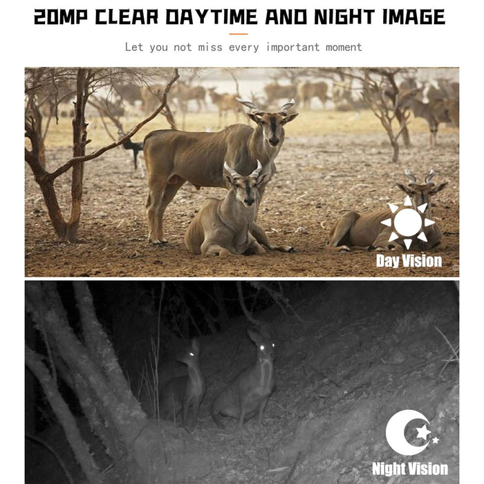1080p Wildlife Hunting Camera with Night Vision for Outdoor
