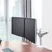 Aluminum Double Arm Desktop Display Table Monitor Mount