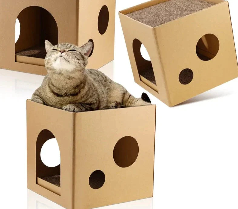 Cat Cardboard House Indoor Scratching Box