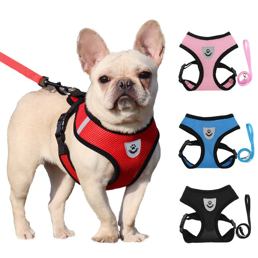 Breathable Reflective Small Dog Harness With Adjustable Lead