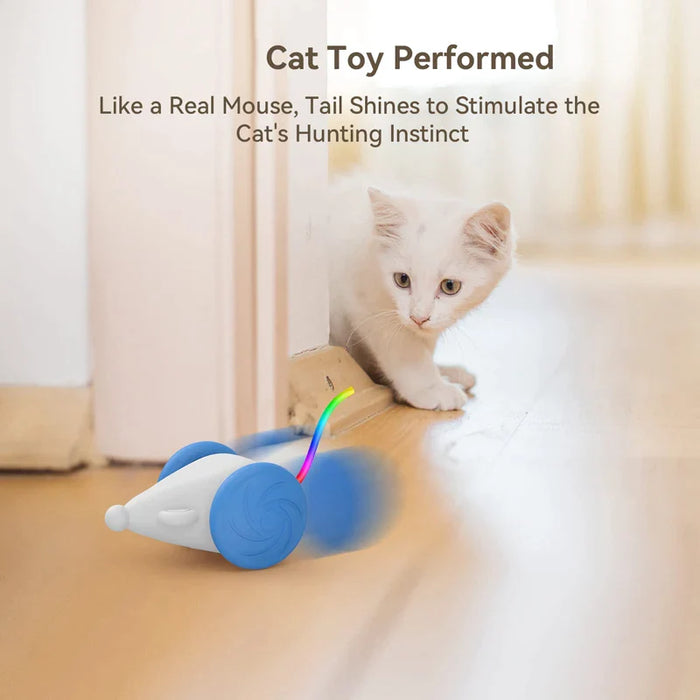 Interactive Cat Toy Usb Rechargeable With Squeaking Sound And Led Flashing Tail