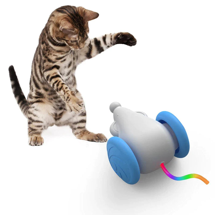 Interactive Cat Toy Usb Rechargeable With Squeaking Sound And Led Flashing Tail