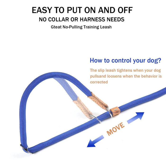 Durable Slip Dog Leash Nylon Com