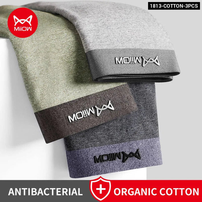 Pack Of 3 Antibacterial Cotton Boxer Shorts For Men