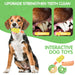 Dog Chew Toys Durable Squeaky And Soft