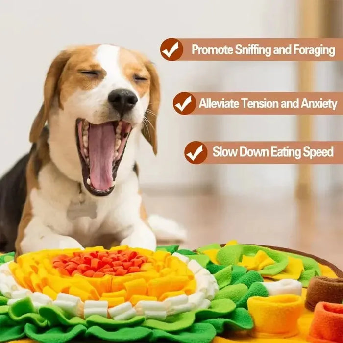 Dog Sniffing Mat With Treat Dispenser