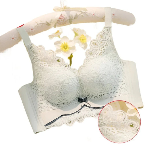 Comfortable Lace Pushup Bra For Women