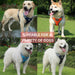 Reflective Rainproof Dog Harness For Small And Large Breeds