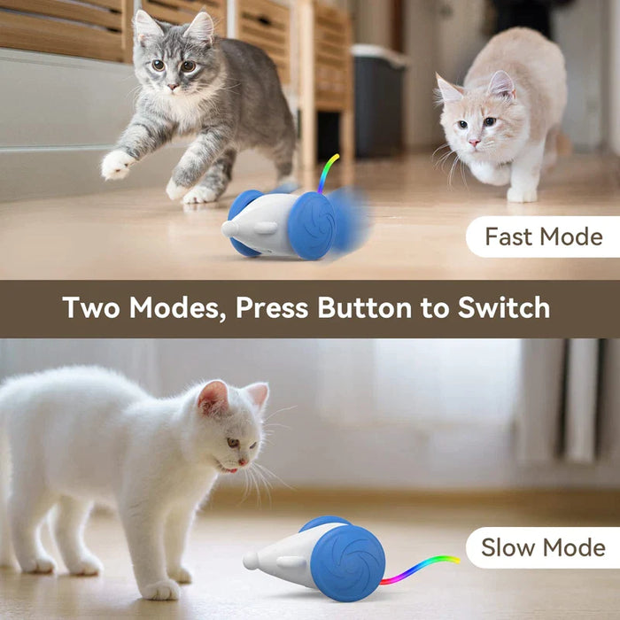 Interactive Cat Toy Usb Rechargeable With Squeaking Sound And Led Flashing Tail