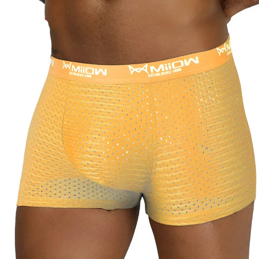 Breathable Mesh Mens Boxer Briefs