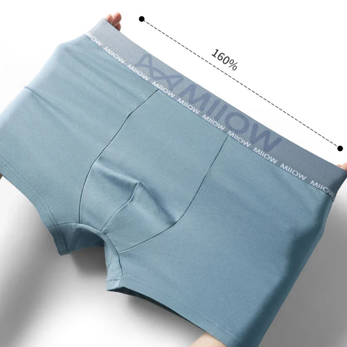 Pack Of 3 Cotton Mens Boxer Shorts With Antibacterial