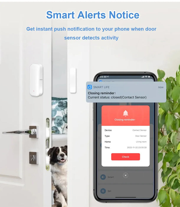 Smart Zigbee Door Sensor For Alexa/google