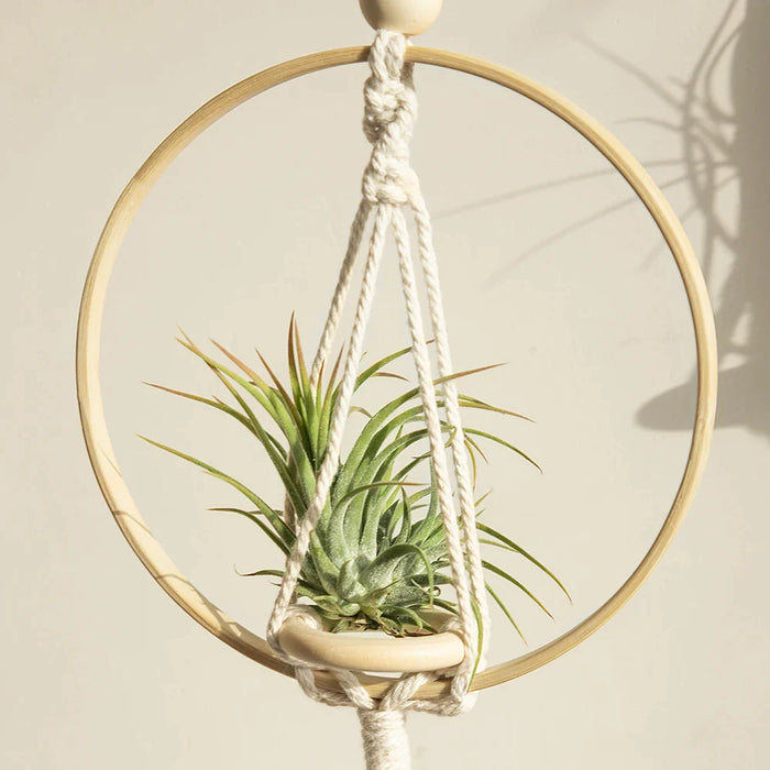 Boho Macrame Hanging Planter For Home Decor