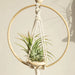 Boho Macrame Hanging Planter For Home Decor