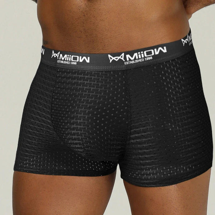 Breathable Mesh Mens Boxer Briefs