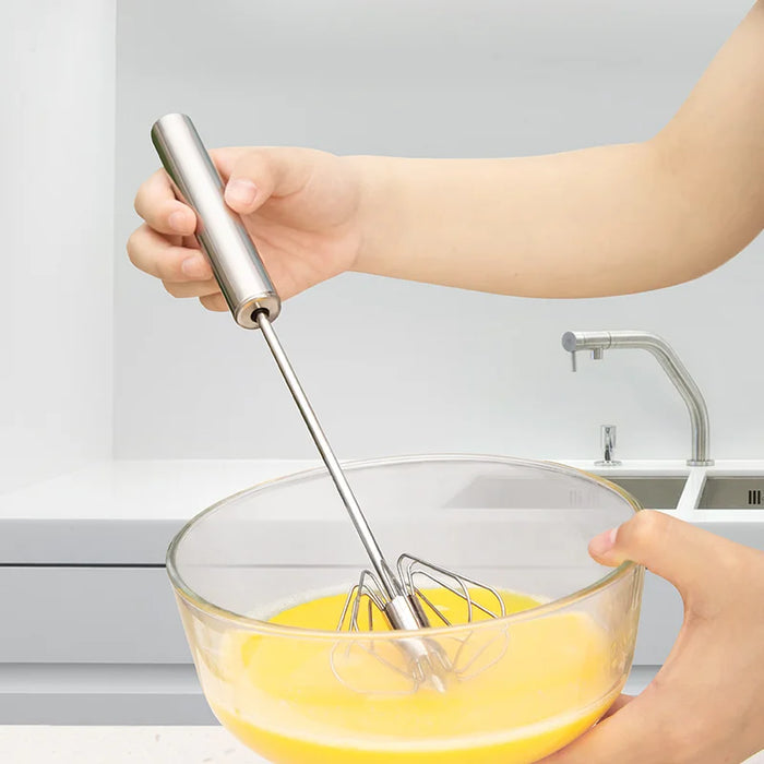 Stainless Steel Egg Beater