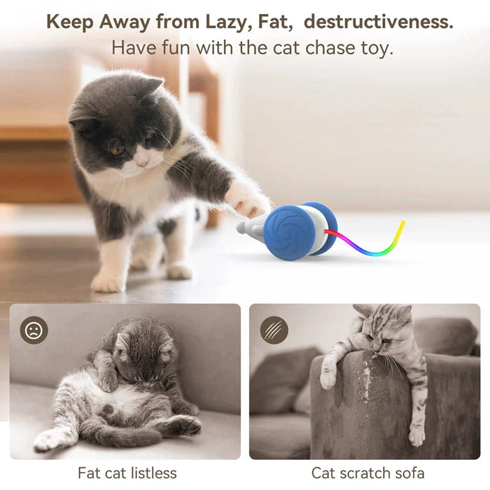 Interactive Cat Toy Usb Rechargeable With Squeaking Sound And Led Flashing Tail