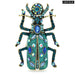 Enamel Beetle Brooch Rhinestone Insect Pin