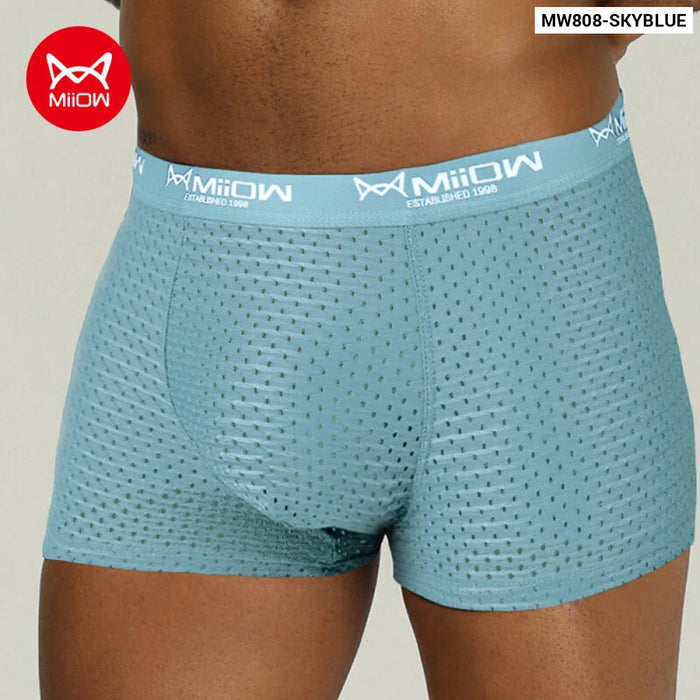 Breathable Mesh Mens Boxer Briefs