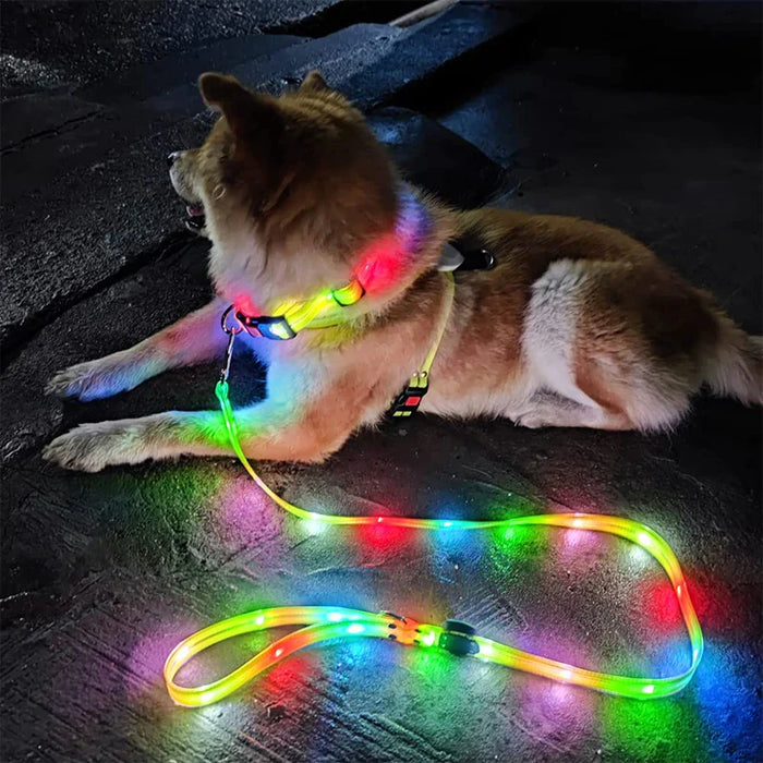 Led Dog Leash Collar Set Waterproof Usb Rechargeable