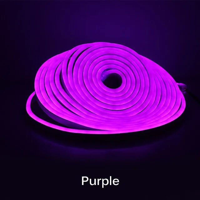 5M Neon Led Light Strip