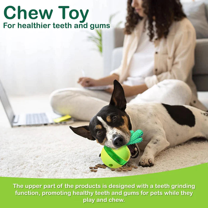 Cactus Tumbler Dog Chew Toy